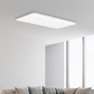 Đèn led ốp trần1