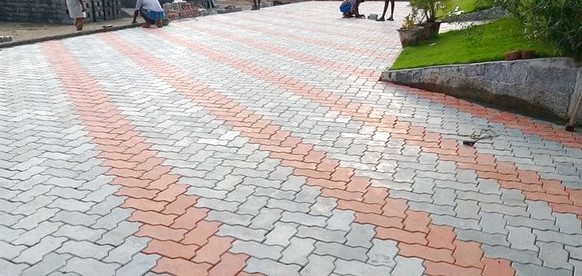 gạch con sâu1